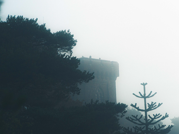 Leith Hill, Surrey